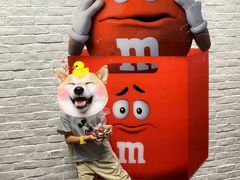 -m豆巧克力世界(上海世茂广场店)