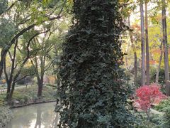 -汇龙潭