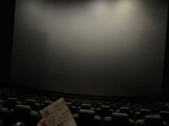 -大都激光IMAX影院