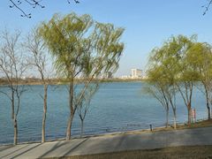 -象湖生态湿地公园