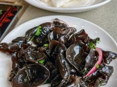 -蝎王府羊蝎子(西直门店)