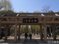 -柳浪闻莺公园