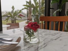 -The Rug Cafe(王府中环店)