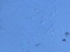 -大别山南武当滑雪场