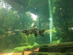 河川生态园-河川生态园