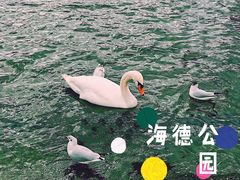 -海德公园