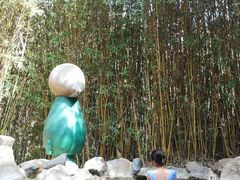 -森波拉火山温泉