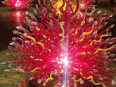 -西安赛瑞喜来登大酒店