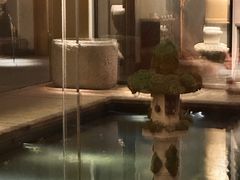 -觀芷隐轩