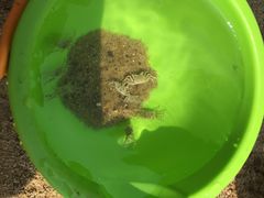 -那香海钻石沙滩浴场