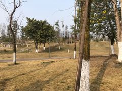 -桂溪生态公园