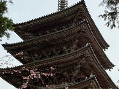 -醍醐寺