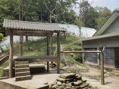 -碧峰峡风景区