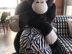 -ZOO COFFEE 动物园咖啡(亦庄店)