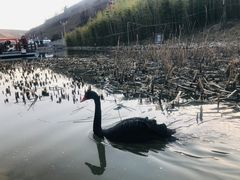 -白鹿原影视城