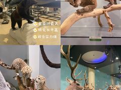 -中国国家博物馆