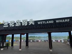 -长田漾湿地公园