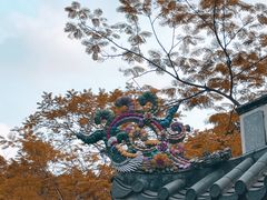 -深圳国际园林花卉博览园