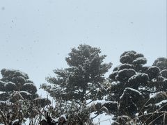 -溪口-滕头旅游景区