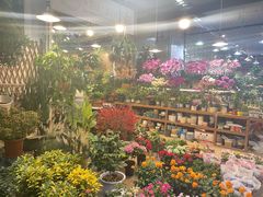 -双季花艺园艺市场(浦东店)