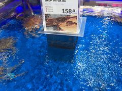 -盒马鲜生(枣园路店)