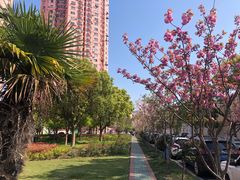 -永乐路-路侧停车场