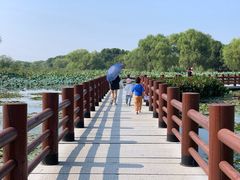 -长兴太湖图影湿地文化园