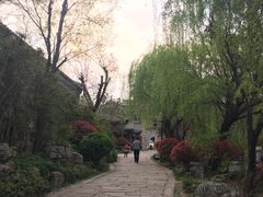 -台儿庄古城