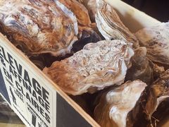 -AZUR聚(香格里拉饭店)