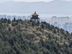 -府君山公园