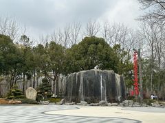 -合肥滨湖国家森林公园
