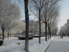 -哈尔滨师范大学(江南校区)