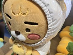 -KAKAO FRIENDS(弘大店)