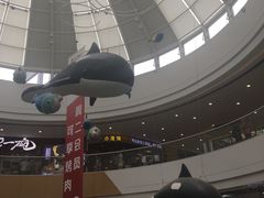 -上海颛桥万达广场