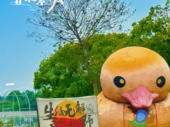 -动邦皮划艇·桨板·独木舟·团建户外运动俱乐部