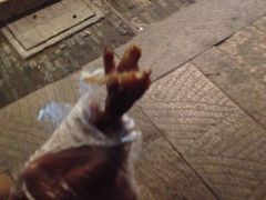 -鸡脚旮旯平江路店