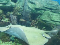 -顺德南宏海立方海洋公园