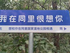 -同里国家湿地公园