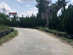 -威海影视基地