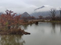 -大九湖