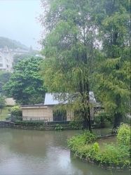 -爱帝宫月子中心(罗湖别墅院)