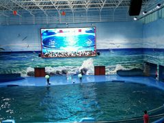 -多彩贵州城极地海洋世界