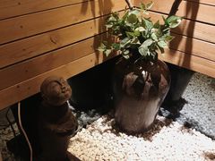 -正清和·推拿养生(黑石礁中心店)