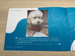 -美联众合动物医院·24h转诊中心