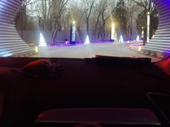 -枫花园汽车电影院(朝阳公园店)
