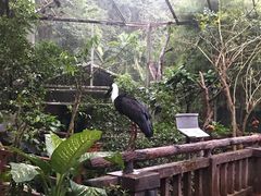 -清迈夜间动物园