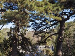 -香山公园