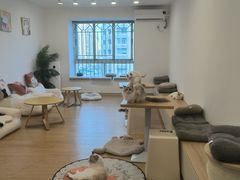 -有喵·猫咖·狗咖·30几只猫10只小狗(岗厦店)