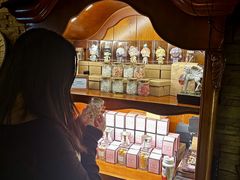 -雪灵魔法世界SHELLY’S TAROT(大良桂畔里店)