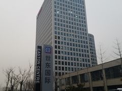 -世东国际